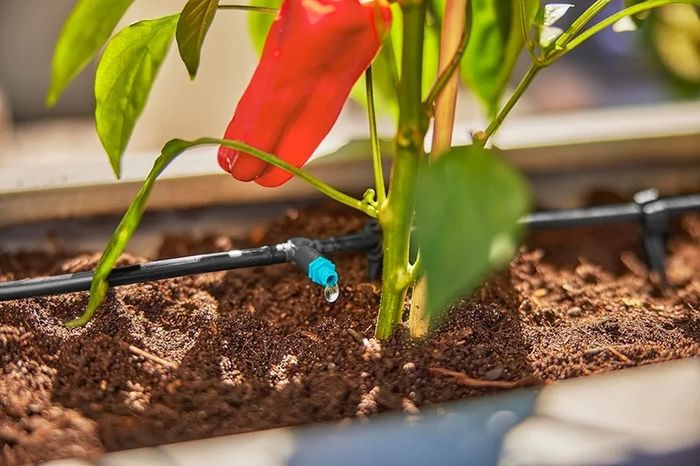 Micro-Drip-System Drip Irrigation Set Terrace (30 plants): Starter set, ready to use, water-saving irrigation system, simple & flexible connection technology (13400-20)