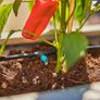 Micro-Drip-System Drip Irrigation Set Terrace (30 plants): Starter set, ready to use, water-saving irrigation system, simple & flexible connection technology (13400-20) Image 8