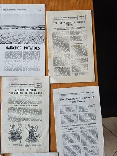 1960s Department Of Agricultural Booklets On Farming. Topics Such As Patato Growing,planting Forest Trees,desease Control And Others. In Good Condition.  See Photos For Same.