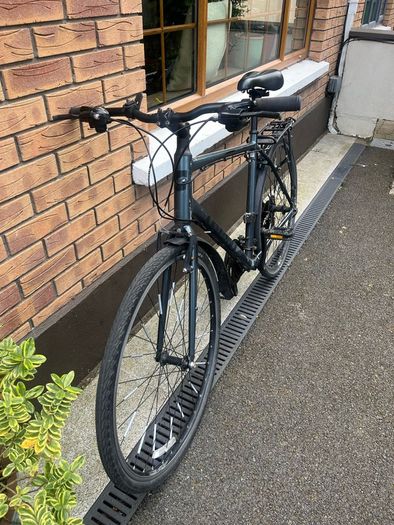 Adult Giant bike