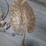 decor Image 2