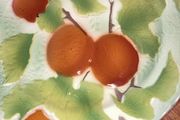 Print a la Main - St Clement France - 21 cm diameter colourful plate with Peaches and Leaves