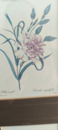 VTG BOMBAY COMPANY Framed Trio Floral Botanical Wall Art Prints