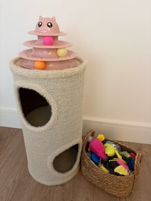 Cat Tower & Toys