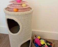 Cat Tower & Toys