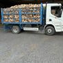 Kiln Dried Firewood - In Stock and Ready to Burn Image 4