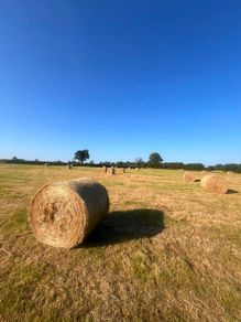 Bales of hay