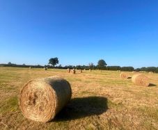 Bales of hay