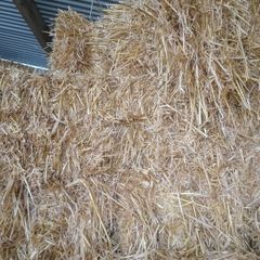 Small square bales barley straw