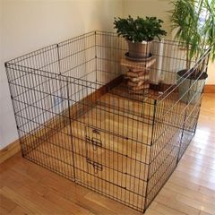 Dog Crete