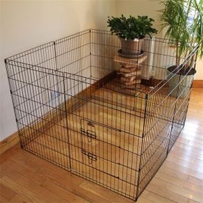 Dog Crete