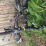 ladies mountain bike Image 6