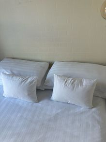 Luxury Feather and Down Pillow Francis Brennan Collection