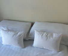 Luxury Feather and Down Pillow Francis Brennan Collection