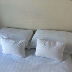 Luxury Feather and Down Pillow Francis Brennan Collection
