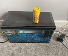 fish tank
