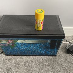 fish tank