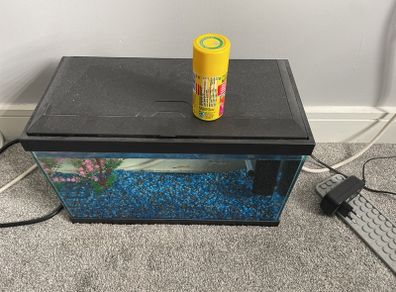 fish tank