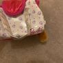 Barbie Cat Image 3