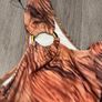 Brand New One Shoulder Swimsuit Size 14 Image 3