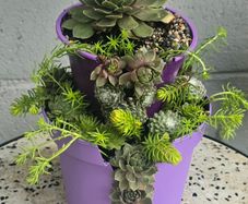 Otdoor plant