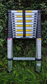 Telescopic Ladder