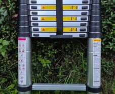 Telescopic Ladder