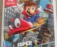 Super mario guide book