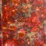 Coast dress sz 14 Image 4