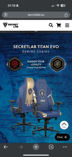 Secretlab Chair