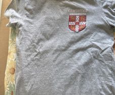 free T-shirt