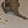 boglin Image 10