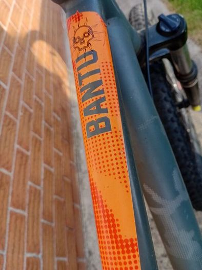 adults mountain bike