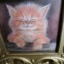 Cat picture Image 3