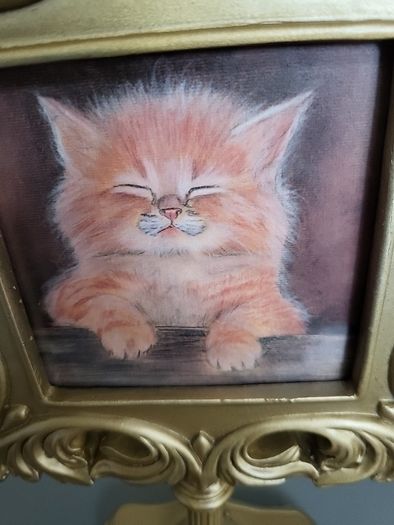 Cat picture