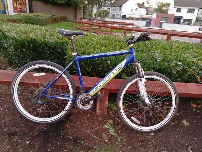 MTB bike Coyote, good condition.