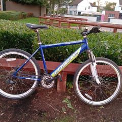 MTB bike Coyote, good condition.