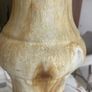Mid Century Fat Lava Table /Floor Lamp Image 7