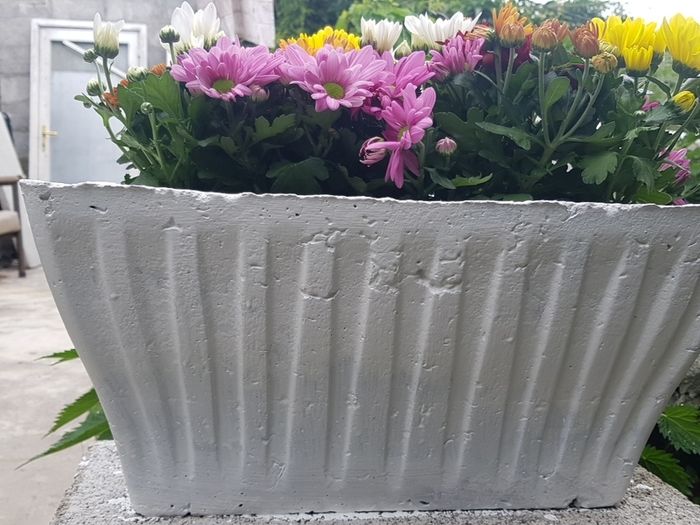 Flower Pot