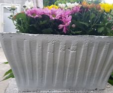 Flower Pot