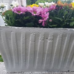 Flower Pot
