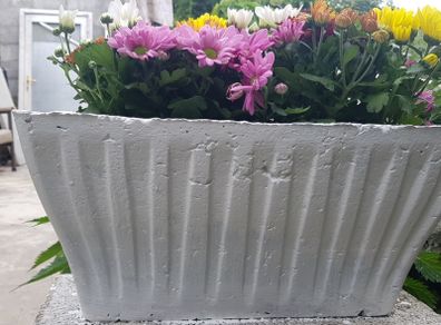 Flower Pot