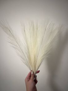 8pcs Feather house deco NEW