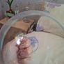 glass shade Image 2