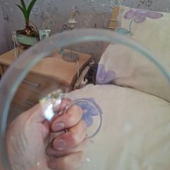 glass shade
