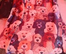 Jumper. Dogs.