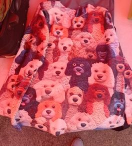 Jumper. Dogs.