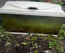 Fish Tanks