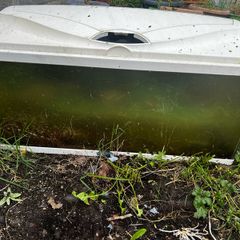 Fish Tanks