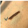 19 99 precision colour lip or eye pencil in barna Image 4